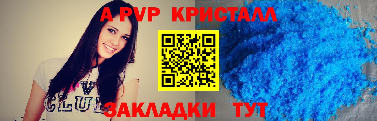 A PVP СК Новошахтинск